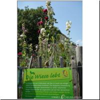 2013-07-18 Guertel 01.jpg